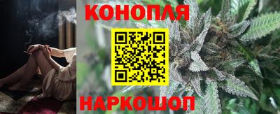 стаф Кимры