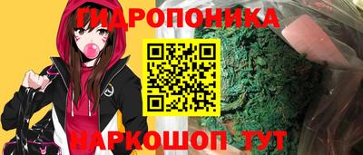 стаф Кимры