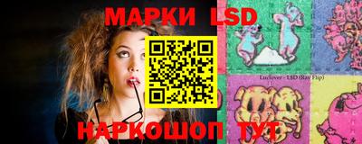 стаф Кимры
