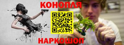 spice Кингисепп