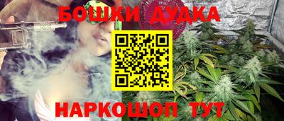 стаф Кимры