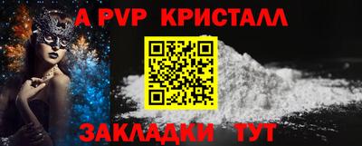 spice Кингисепп