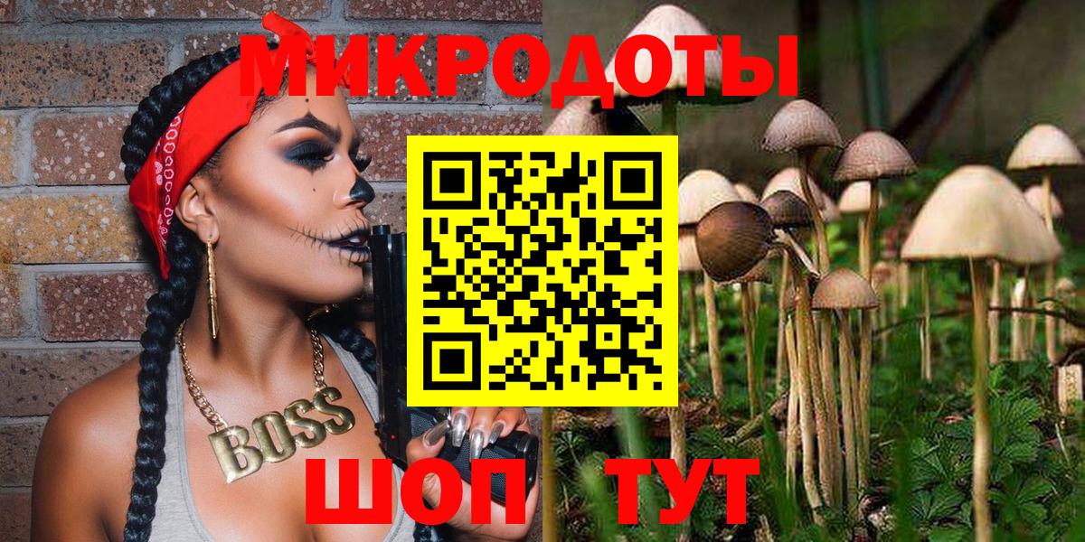 Галлюциногенные грибы GOLDEN TEACHER Кудрово