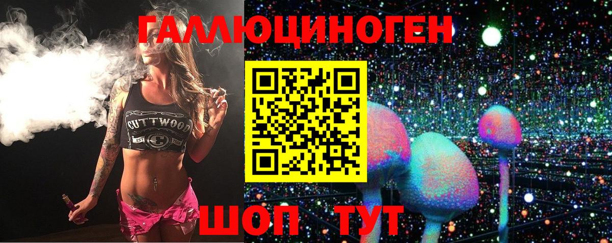 Галлюциногенные грибы GOLDEN TEACHER  Вход с VPN  Кудрово  Псилоцибиновые грибы мицелий 